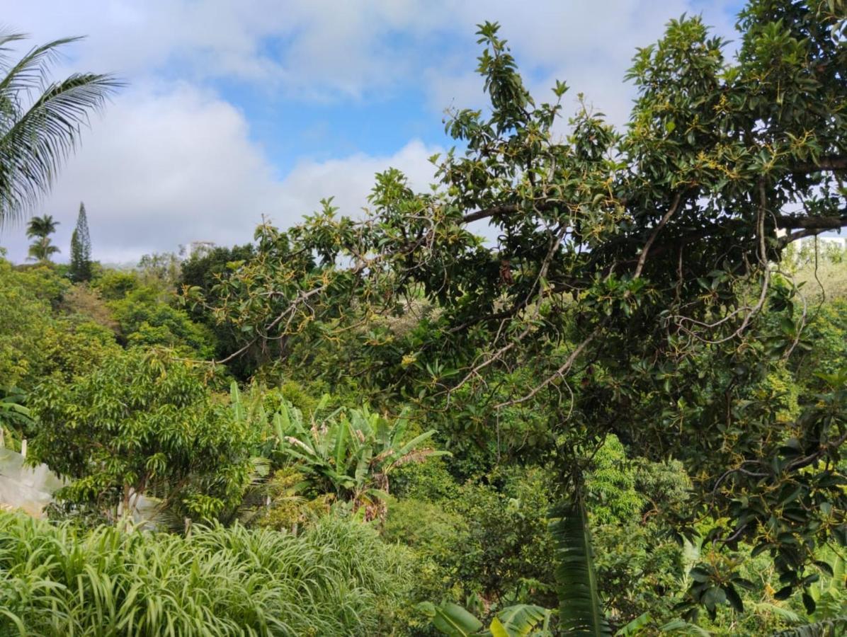 Apartamento Cercado Por Natureza E Diversao Масейо Екстер'єр фото