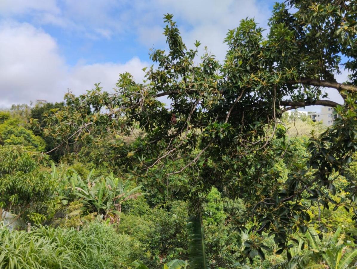 Apartamento Cercado Por Natureza E Diversao Масейо Екстер'єр фото